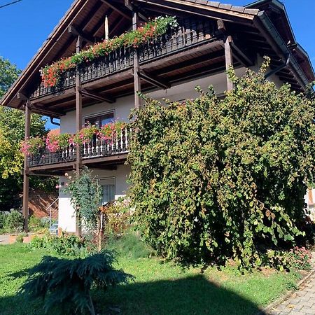 Gaestehaus Zum Rhein رينهاوسن المظهر الخارجي الصورة